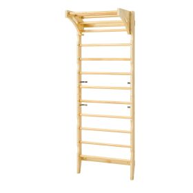 Swedish Ladder Wall Gym, 2-in-1 10-Level Indoor Jungle Gym, 220LBS Loading Solid Wood