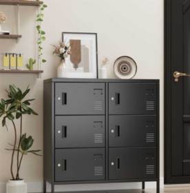 6-Door Employee Storage Locker, Metal Lockers For Office, Gym, School, And Homewith Card