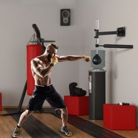 Lightweight Fast-Reflexes Speed Bag Boxing Punching Bag Wall Mount Height Adjustable, MMA