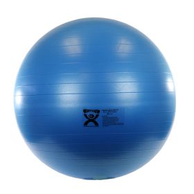 CanDo ABS Inflatable Exercise Ball (size: 85 cm (33.5 in) blue)